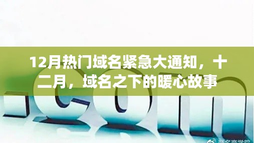 十二月域名故事，热门域名紧急通知背后的暖心时刻