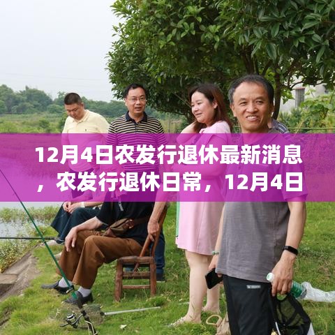 农发行退休日常，温馨趣事与友情纽带（12月4日更新）