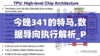 今晚341的特马,数据导向执行解析_PT3.990