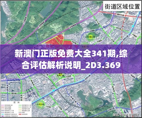 新澳门正版免费大全341期,综合评估解析说明_2D3.369
