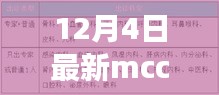 鸿飞雪爪 第3页