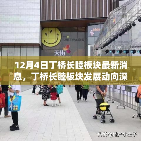 丁桥长睦板块深度解析，最新发展动向与消息聚焦（12月4日）