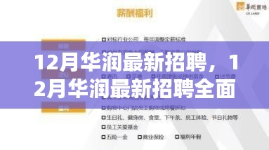 12月华润最新招聘全面介绍与评测指南