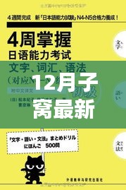 新手无忧！掌握最新永久版12月子窝使用指南