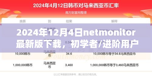 NetMonitor最新版下载指南，适用于初学者与进阶用户的详细安装步骤及下载指南（2024年12月4日）