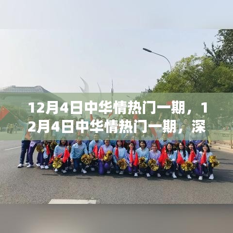 12月4日中华情热门一期，深度解读与观点阐述