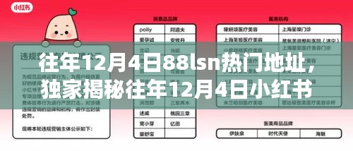 独家揭秘，往年12月4日小红书超火爆的88lsn热门地点打卡攻略大放送！