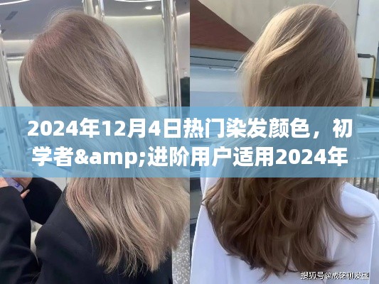 『2024年热门染发颜色指南，初学者到进阶用户的DIY染发技巧与颜色推荐』