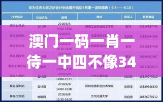 澳门一码一肖一待一中四不像341期,实地验证数据应用_android9.854