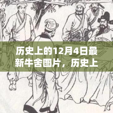 历史上的牛舍演变与最新牛舍图片展示，12月4日的牛舍变迁纪实