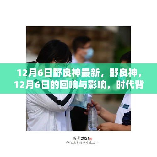 时代背景下的神祇重生，野良神最新动态回响与影响
