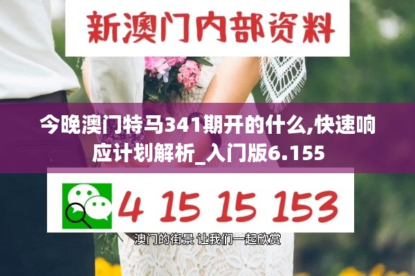 今晚澳门特马341期开的什么,快速响应计划解析_入门版6.155