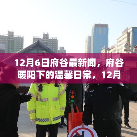 府谷暖阳下的新闻与友情故事，温馨日常的新闻回顾与友情分享