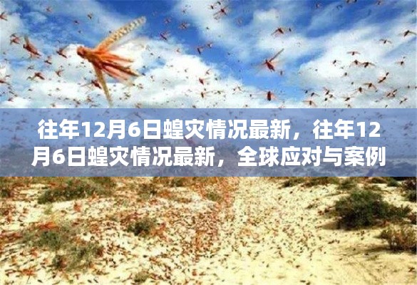 寥若晨星 第4页