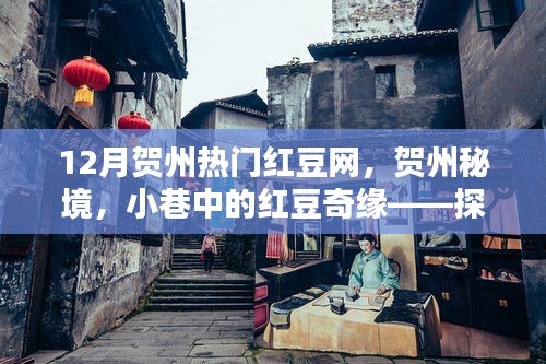 贺州秘境探秘，红豆奇缘与特色小店的神秘魅力
