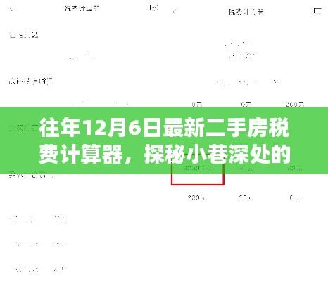 揭秘最新二手房税费计算器，探秘神秘宝店，往年12月6日最新工具介绍