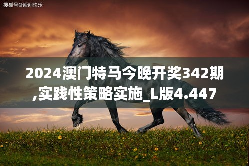 2024澳门特马今晚开奖342期,实践性策略实施_L版4.447