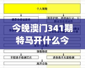 今晚澳门341期特马开什么今晚四不像,数据导向解析计划_试用版1.524