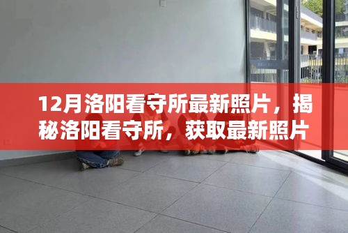 揭秘洛阳看守所，最新照片获取指南与深度解读