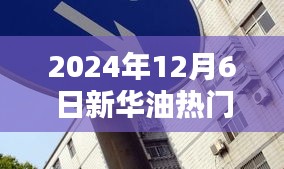 新华油的一天，油缘与爱的不解之缘，温馨回顾2024年12月6日热门时刻
