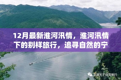淮河汛情下的独特旅行，追寻自然美景与宁静时光