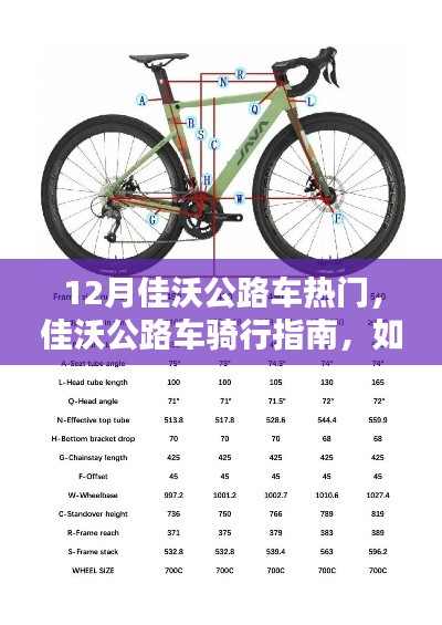 佳沃公路车十二月热门选购与骑行指南，如何选购与体验热门公路自行车