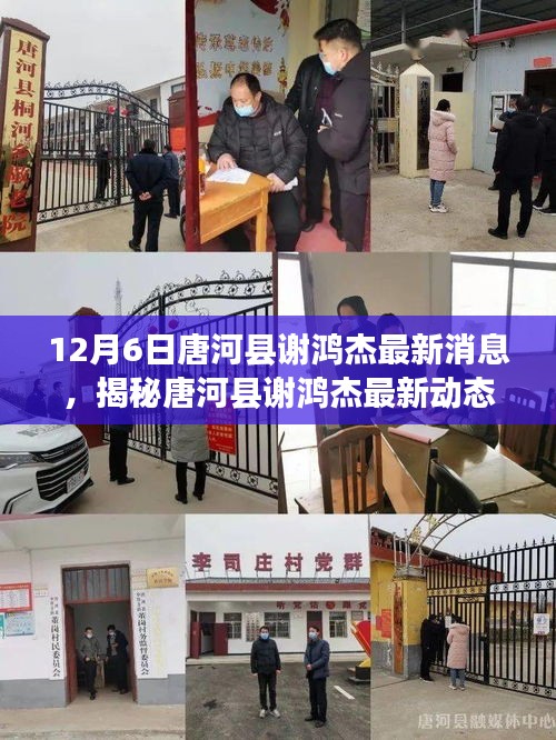 12月6日唐河县谢鸿杰最新消息，揭秘唐河县谢鸿杰最新动态，12月6日的最新消息