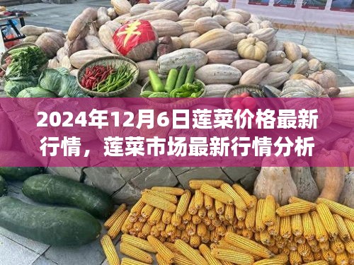 深度解析 第9页