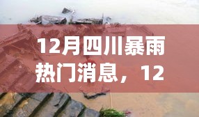 四川12月暴雨背后的故事与热门消息解读