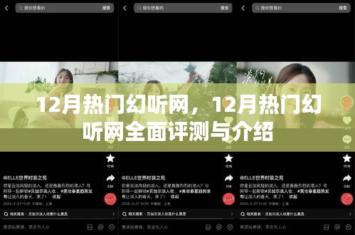 12月热门幻听网全面评测与介绍