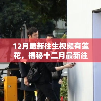揭秘十二月最新往生视频中的神秘莲花，探寻寓意与真相