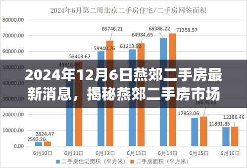 燕郊二手房市场揭秘，最新动态与隐藏宝藏，独特风情一览（2024年12月6日最新消息）