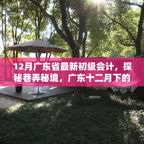 广东十二月初级会计特色小店探秘，巷弄秘境之旅