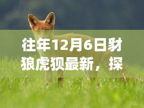 探秘豺狼虎狈最新隐藏小巷美食，揭秘巷弄深处的独特风味小店