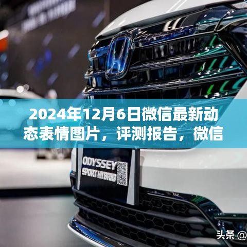 微信全新动态表情图片体验介绍，评测报告及最新动态表情图片展示（2024年12月6日版）