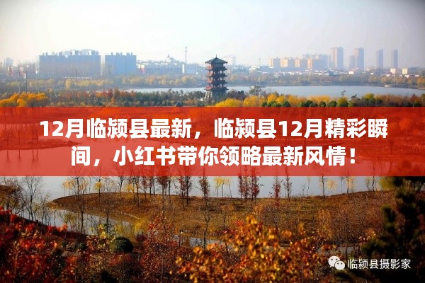 临颍县12月精彩瞬间大放送，小红书带你领略最新风情！
