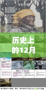 探秘历史12月6日独特小店，小巷深处的宝藏之旅的供求信息更新