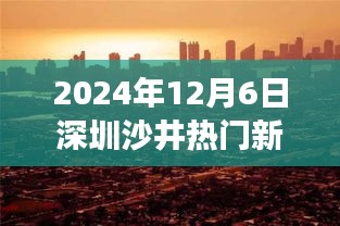 2024年12月6日深圳沙井热门新闻死人，深圳沙井新闻事件下的社会关注与个人观点