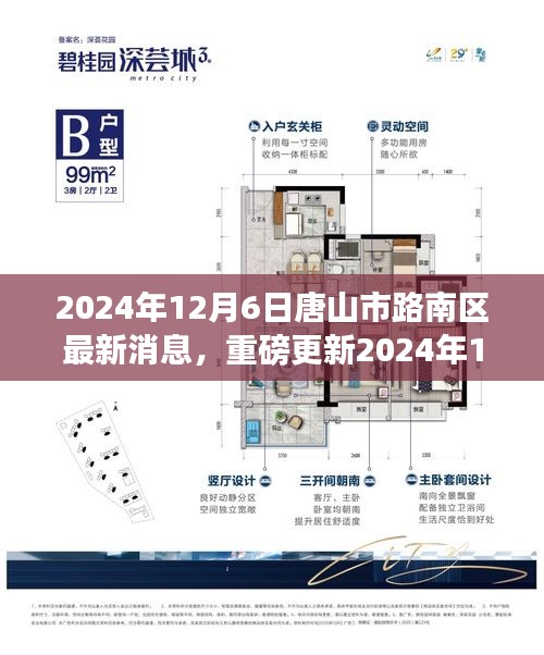 2024年12月6日唐山市路南区发展新篇章，最新消息与深度解读