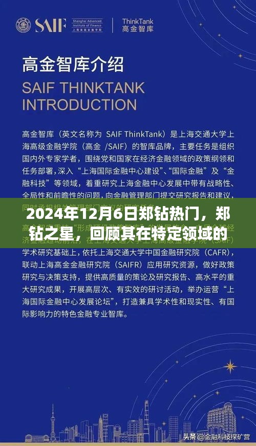 2024年12月6日郑钻热门，郑钻之星，回顾其在特定领域的辉煌历程与深远影响
