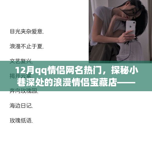 郑重其事 第5页