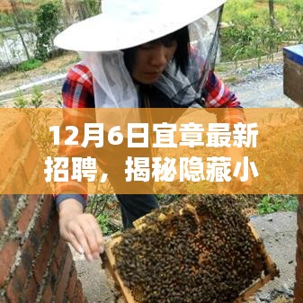 揭秘隐藏小巷的神秘宝藏，宜章最新招聘与特色小店探秘之旅