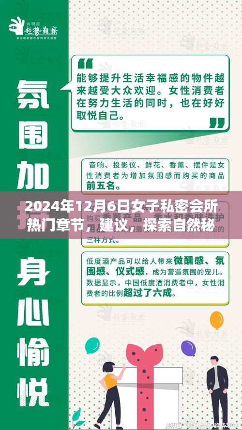 心灵启示录，女子私密旅行日的新篇章——探索自然秘境与私密会所的轻松愉悦之旅（热门章节建议）