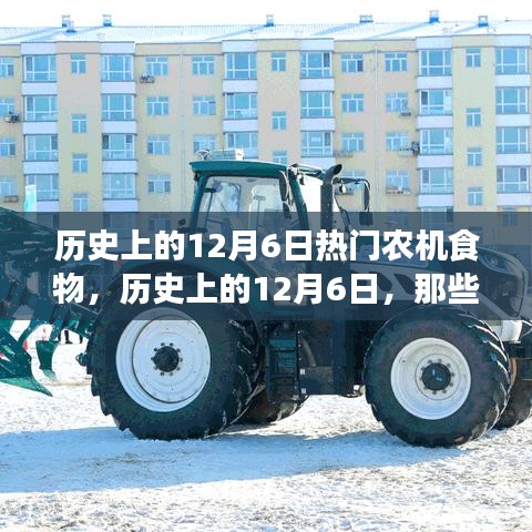 走马观花 第5页