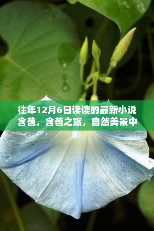 含苞之旅，自然美景中的心灵觉醒