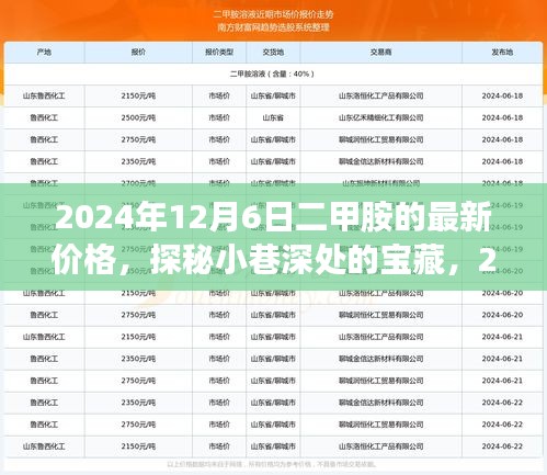 探秘小巷深处的宝藏，揭秘2024年二甲胺最新价格