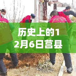 历史上的十二月六日莒县峤山镇新闻深度解析，最新动态与详细步骤指南