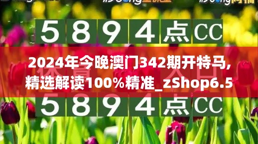 2024年今晚澳门342期开特马,精选解读100%精准_zShop6.565