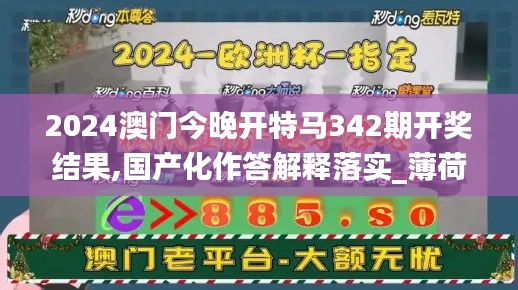 2024澳门今晚开特马342期开奖结果,国产化作答解释落实_薄荷版9.403