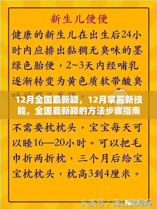 12月全国最新颖，12月掌握新技能，全国最新颖的方法步骤指南